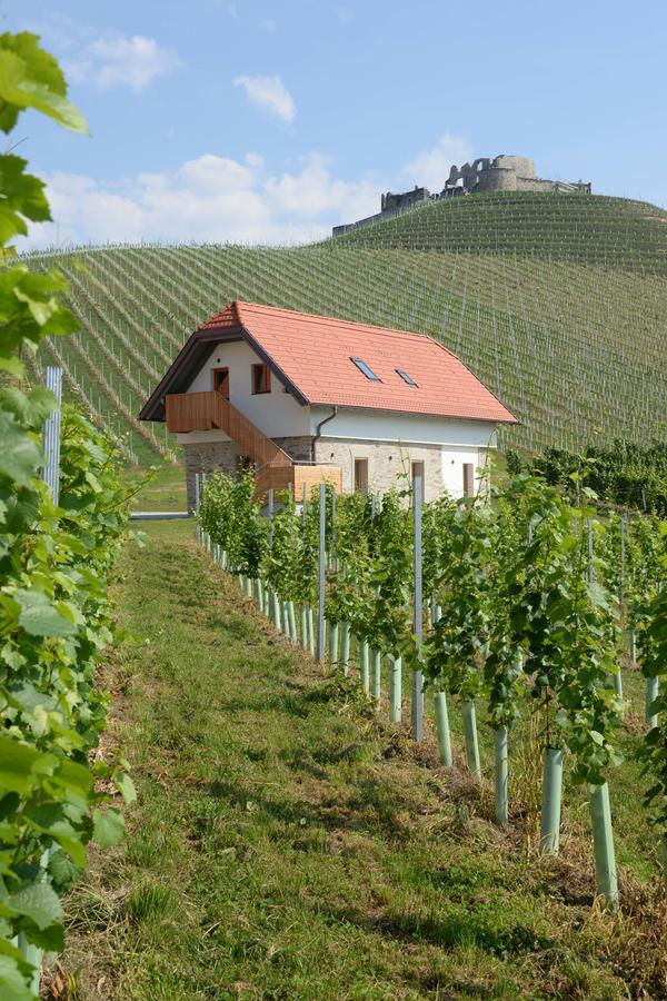 Weingut Taggenbrunn Otel Sankt Veit an der Glan Dış mekan fotoğraf