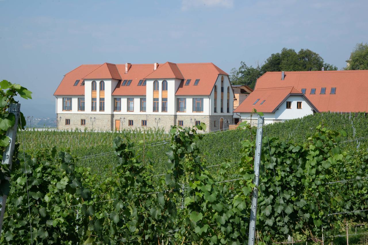 Weingut Taggenbrunn Otel Sankt Veit an der Glan Dış mekan fotoğraf