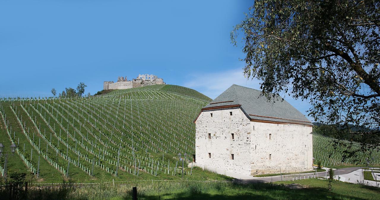 Weingut Taggenbrunn Otel Sankt Veit an der Glan Dış mekan fotoğraf