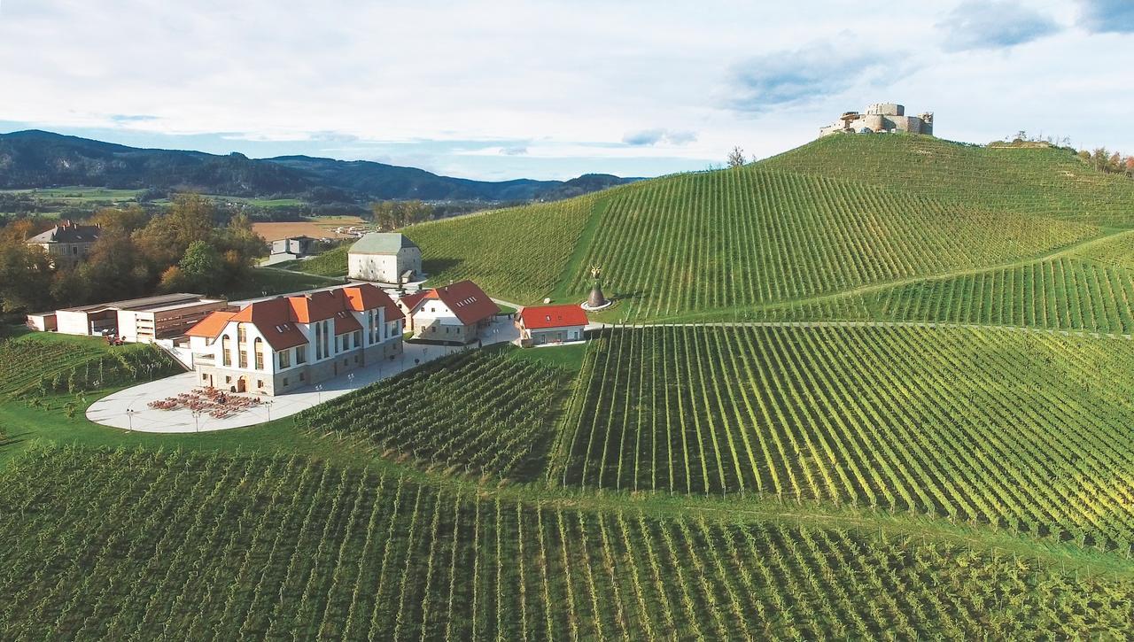 Weingut Taggenbrunn Otel Sankt Veit an der Glan Dış mekan fotoğraf